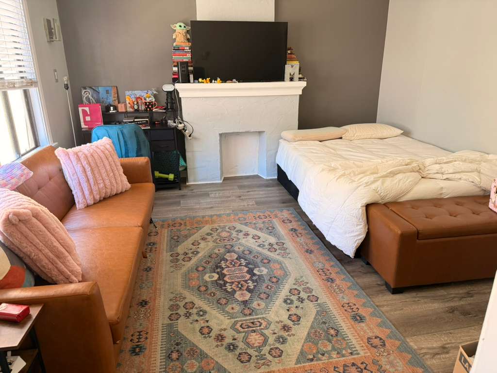 Freshly cleaned modern living room