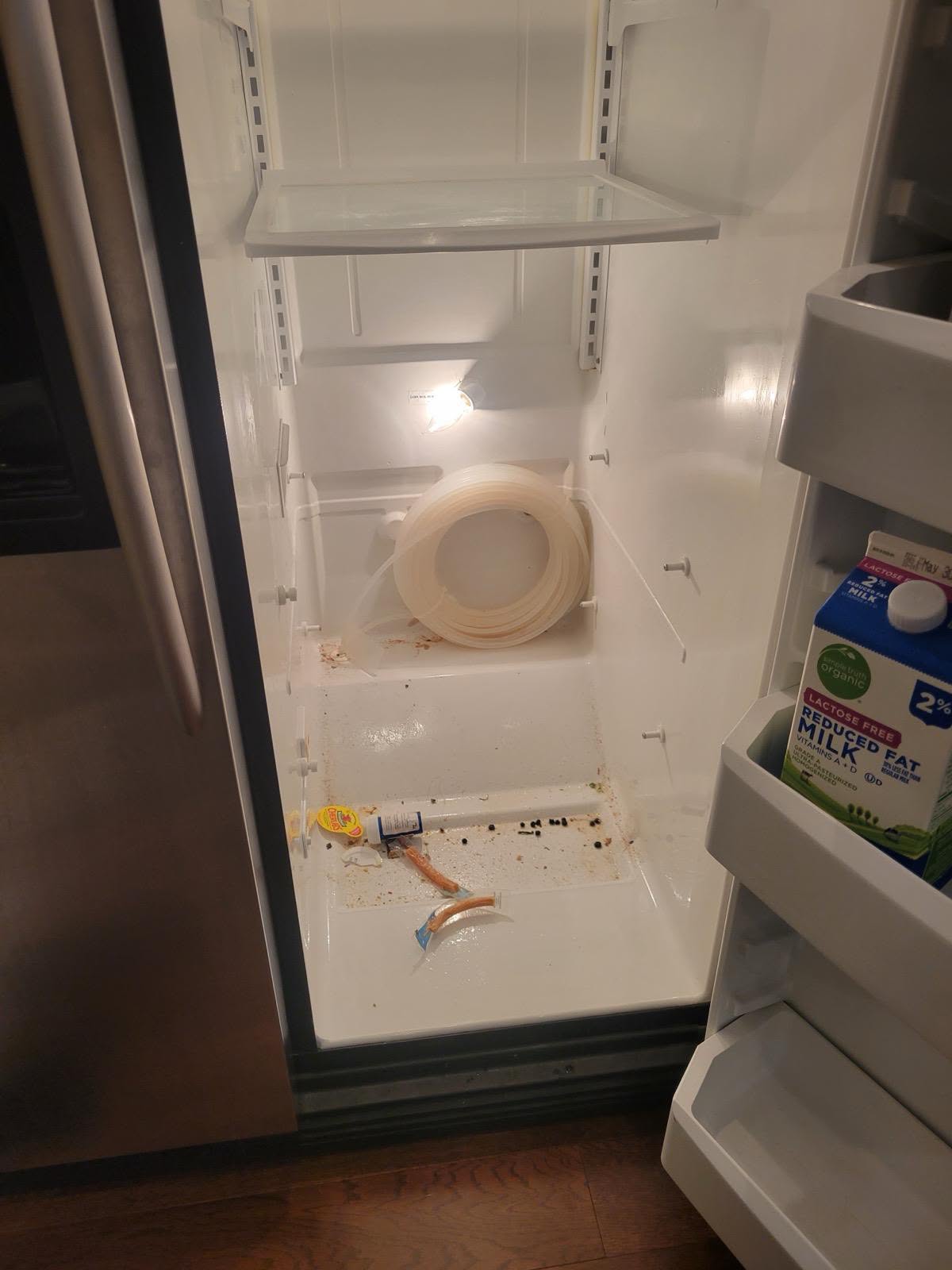 Refrigerator interior before deep cleaning
