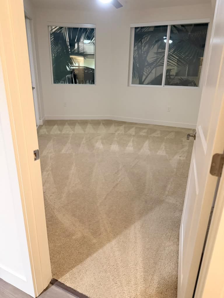 Fresh carpet with visible cleaning lines after remodeling