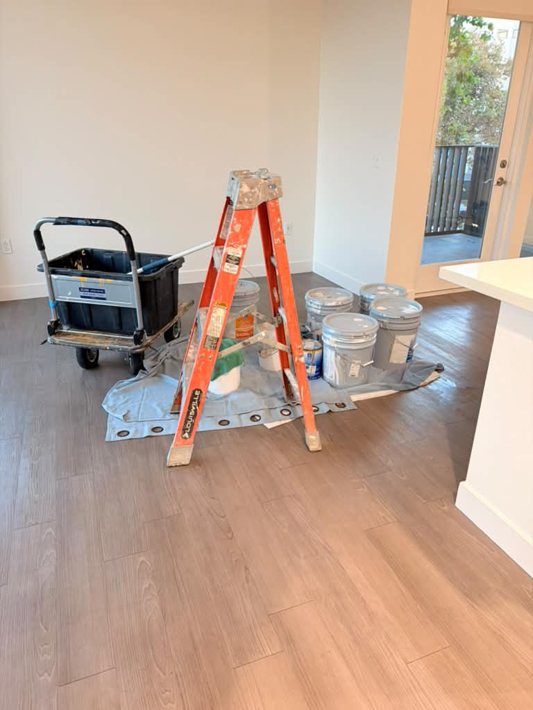 Remodeling tools organized in a bright room during cleanup